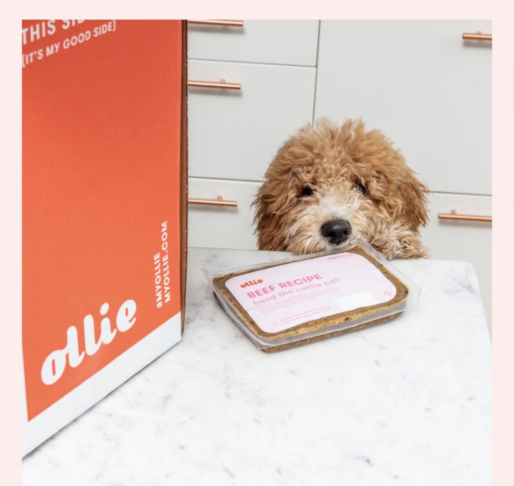 Get 50% Off Ollie Fresh Dog Food until MAY 10th! | Free Tastes Good!